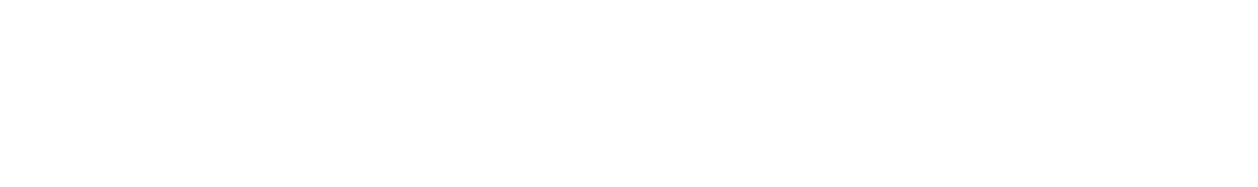 Neuroloop